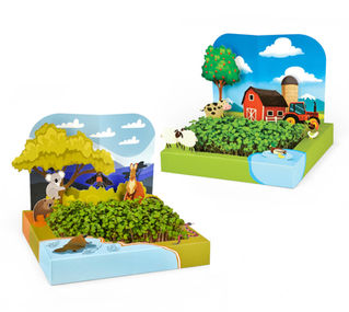 Urban Greens Pop-Up Microgreen Kits for kids