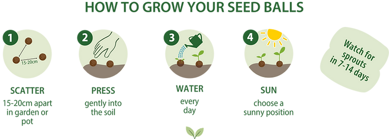 How to grow your seed balls.png