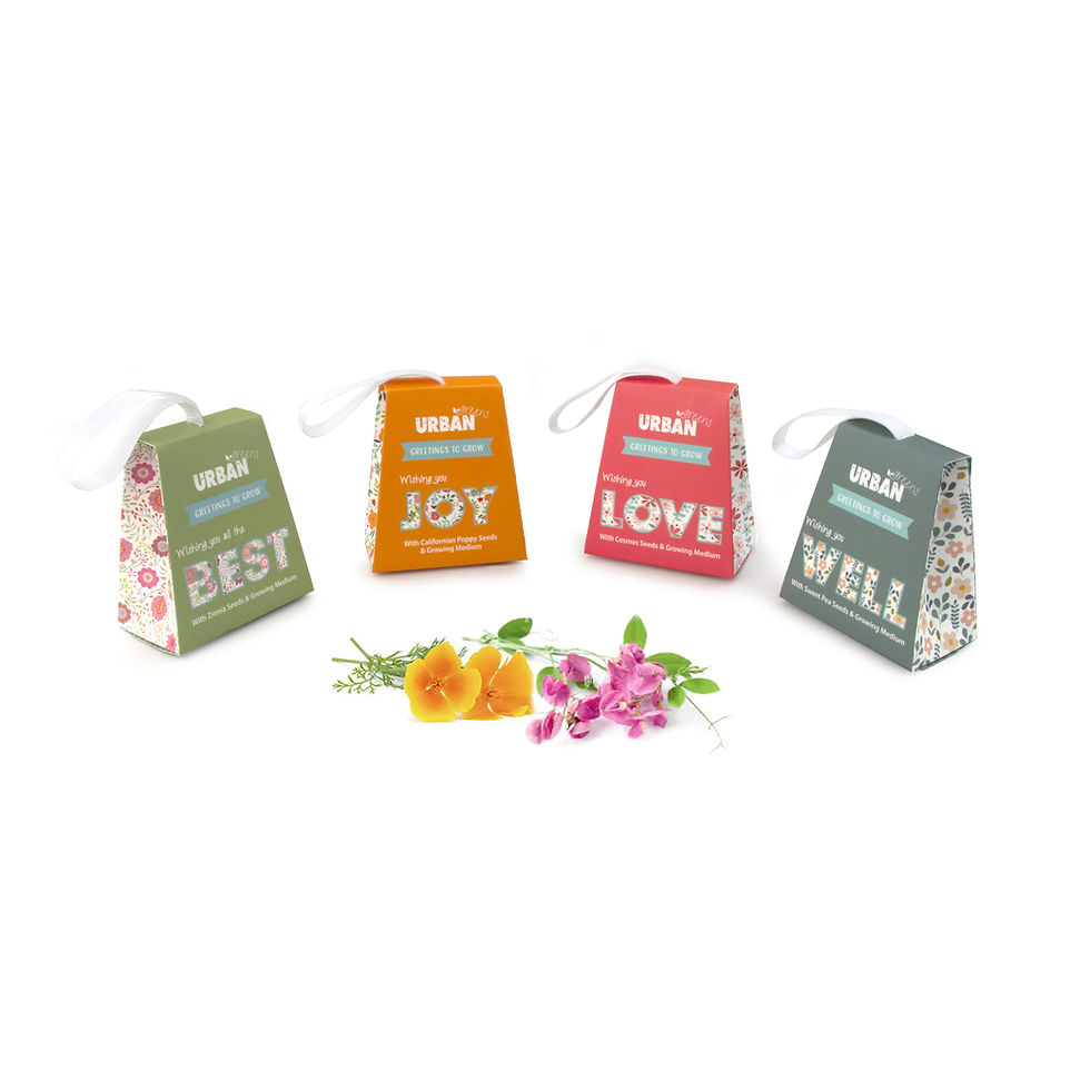 Thumbnail: Urban Greens Greetings to Grow - Wishing you all the Best - Grow Kit