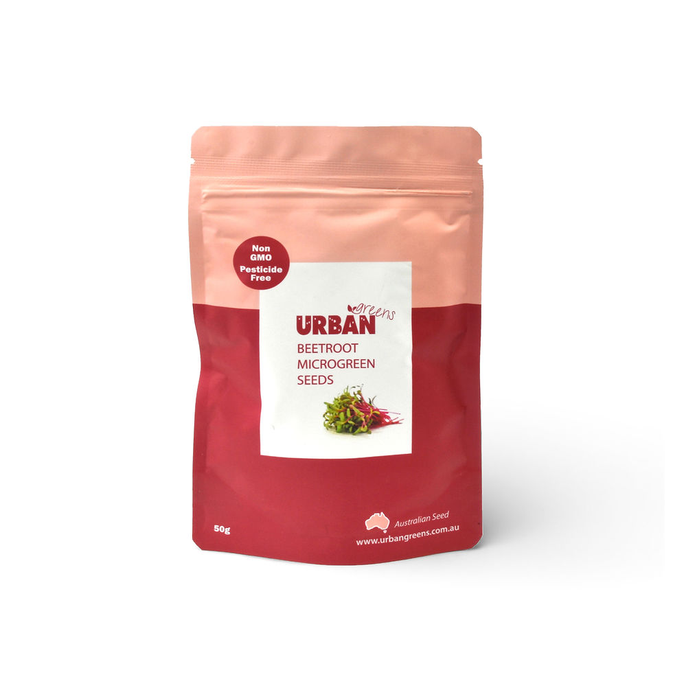 Urban Greens Beetroot Microgreen Seeds - 50g