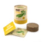 Urban Greens Grow Organic Veggies Grow Kit - Zucchini