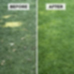 TurFresh Cordless Power Brush for artificial or synthetic grass