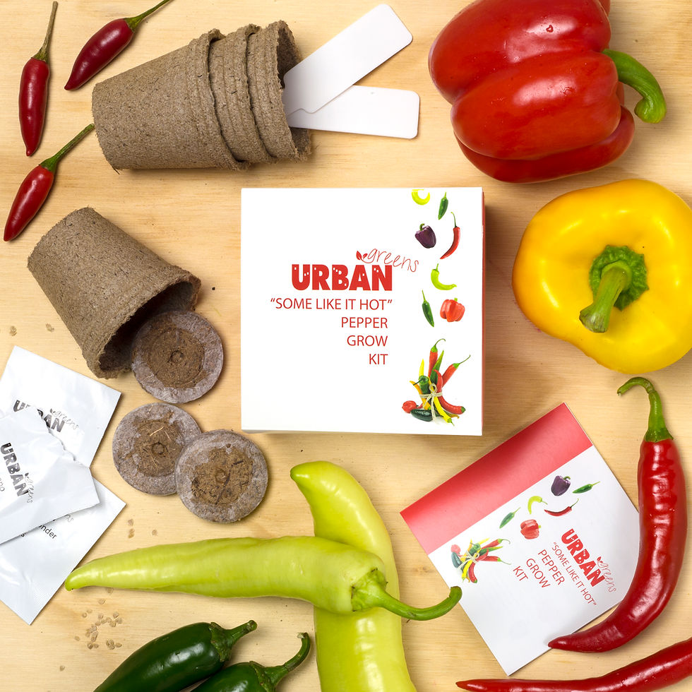 Thumbnail: Urban Greens Some like it hot pepper kit with red peppers, yellow peppers, chills, banana peppers, jiffy pots and seed packet