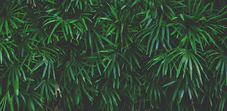 AdobeStock_163488855-scaled.jpeg