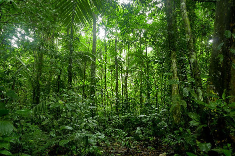AdobeStock_62490698-scaled.jpeg