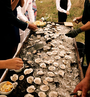 Oyster display at wedding