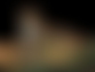 Totem do Jaguar/Onça