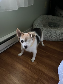 Chloe Picture