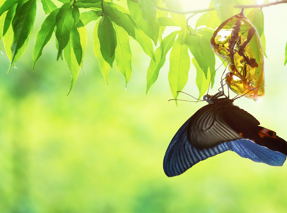 The Wisdom Hidden Within Change