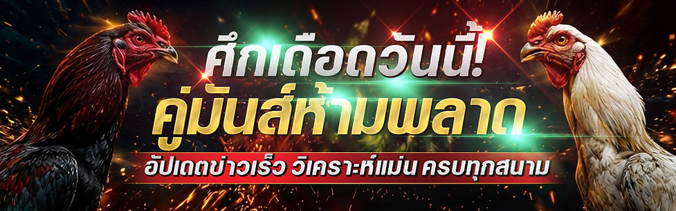 หน้าปก ไก่.jpg