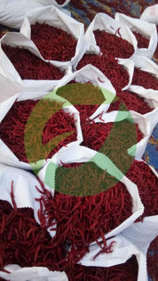 WhatsApp Image 2021-10-29 at 9.16.37 PM (1).jpeg