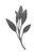SAGE Logo_edited_edited_edited.png