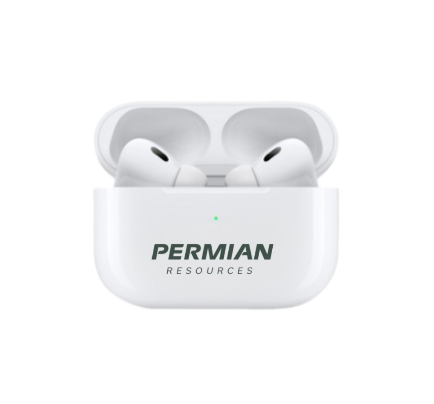 Custom Apple AirPods Pro 2