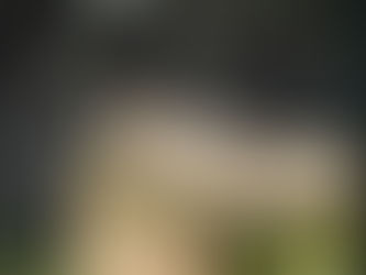 Neglective Treatment of Animals within a Roadside Zoo