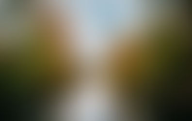 Your Guide to Lumber River State Park: Kayaking, Hiking & Wildlife