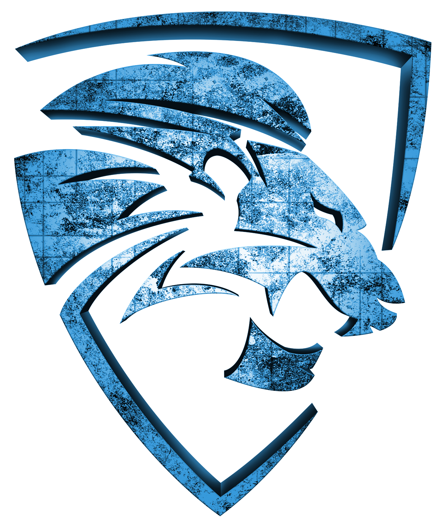 Public Insurance Adjuster Logo.png