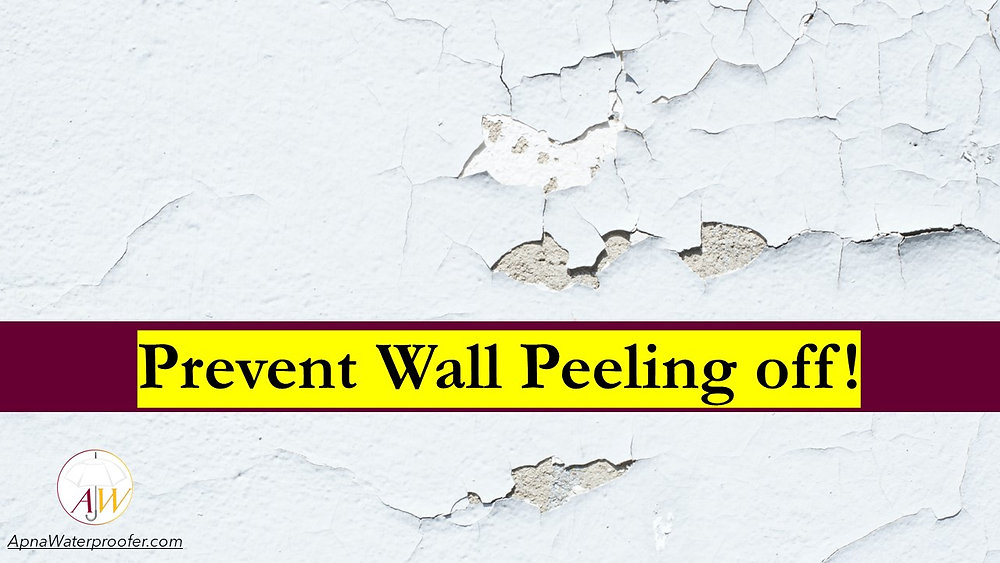 Why wall paint peels off? How to control paint peeling off?