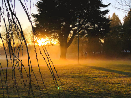 Paving the path to a brighter future