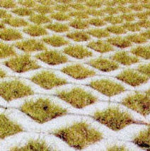 Rasengittersteine - Gartenbau Gätzi GmbH - Maur