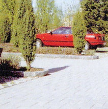 Weg befahren - Gartenbau Gätzi GmbH - Maur