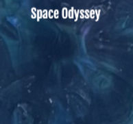 Space Oddesy - Turtle Tag_edited_edited.jpg