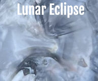 Lunar Eclipse - Turtle Tag_edited_edited_edited.jpg