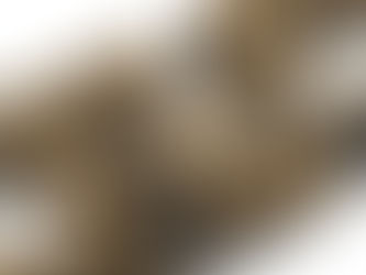 What Is an AR15 M-LOK Handguard and Why Is It Better?