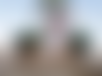 Casamento na praia, tudo o que você precisa saber para realizar o seu sonho