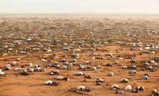 Dadaab refugee camp closure would risk 350,000 Somali lives, warns Amnesty