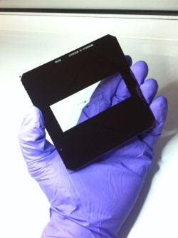 thumbnail_photo 1