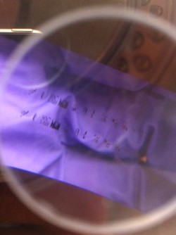 thumbnail_photo 2