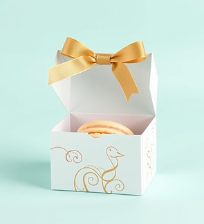 fancy macaron box packaging with plain background.jpg