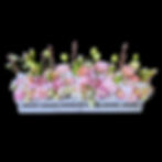 Selection of flowers in a long window box