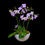 Thumbnail: Phalaenopsis-Orchid in Ceramic Pot fabulous