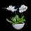 Thumbnail: Phalaenopsis-Orchid in Ceramic Pot classic white 2