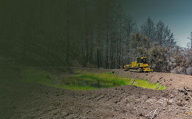 Earthwise - Images - Property Improvements5.jpg