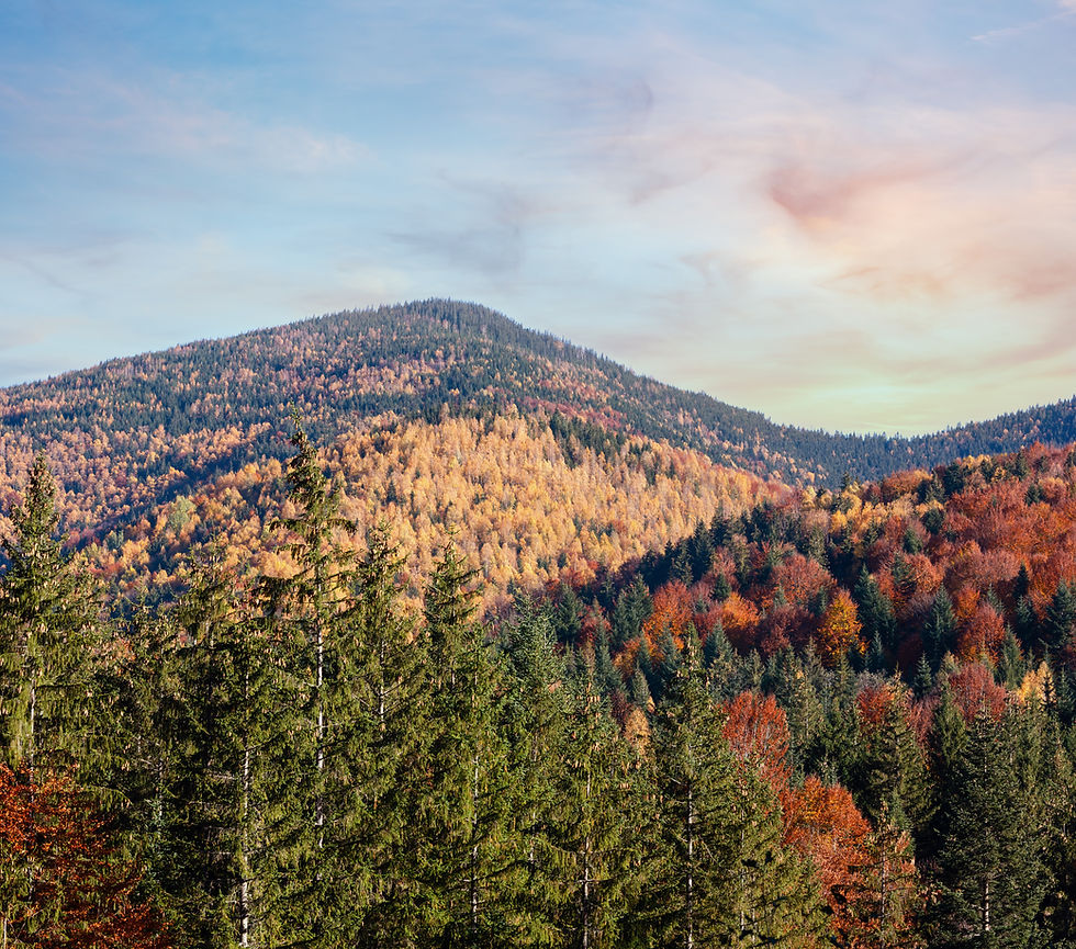 autumn-carpathians-ukraine.jpg