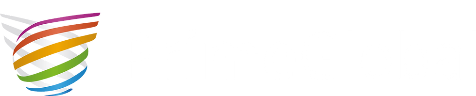 prime-global-logo-min-white.png