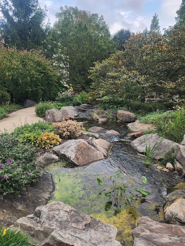 Water Features in the Garden - Aquatic Gardening
