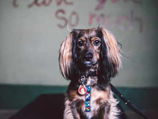 Valentine's Day Weekend