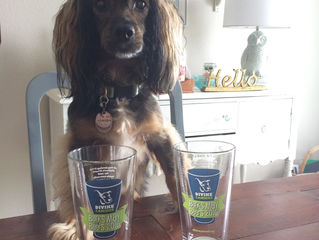 Barks for Beers 2016