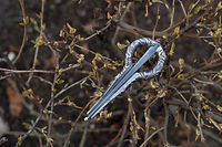 jew's harp buy online