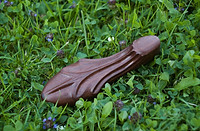jaw harp by order