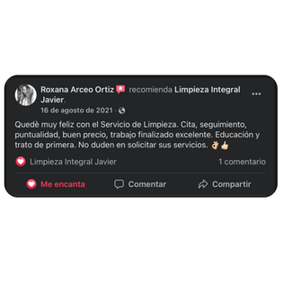 recomendaciones limpieza integral isabel