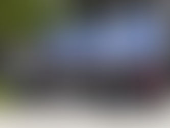 La motosierra en los programas sociales.