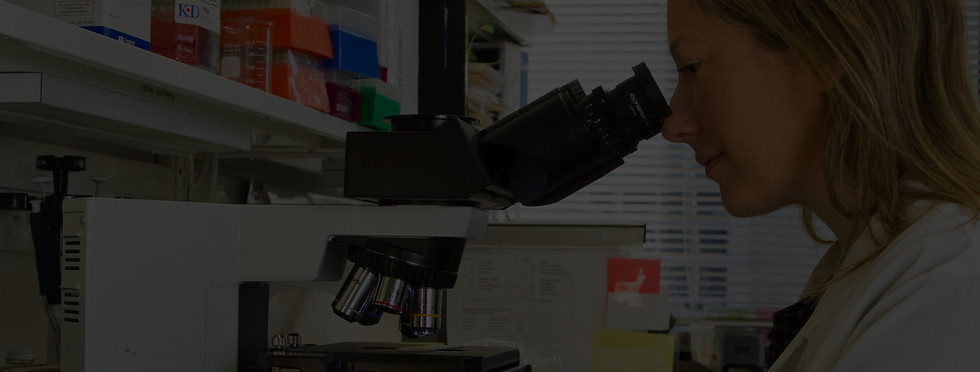 A female scientist in a laboratory looks