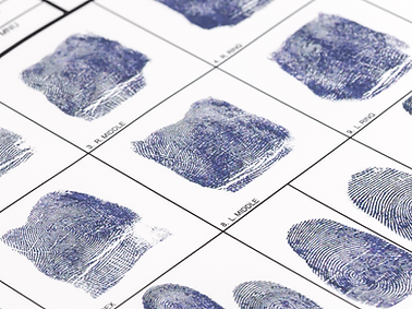 Website pics  (5).png