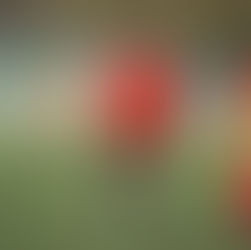 PRÉFORMATION. Les U14 R2 se préparent