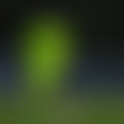 🗞️ CDF (T6) : Des Lions appliqués !