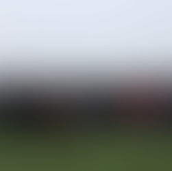 👏 D1 ARKEMA : Une journée marquante !